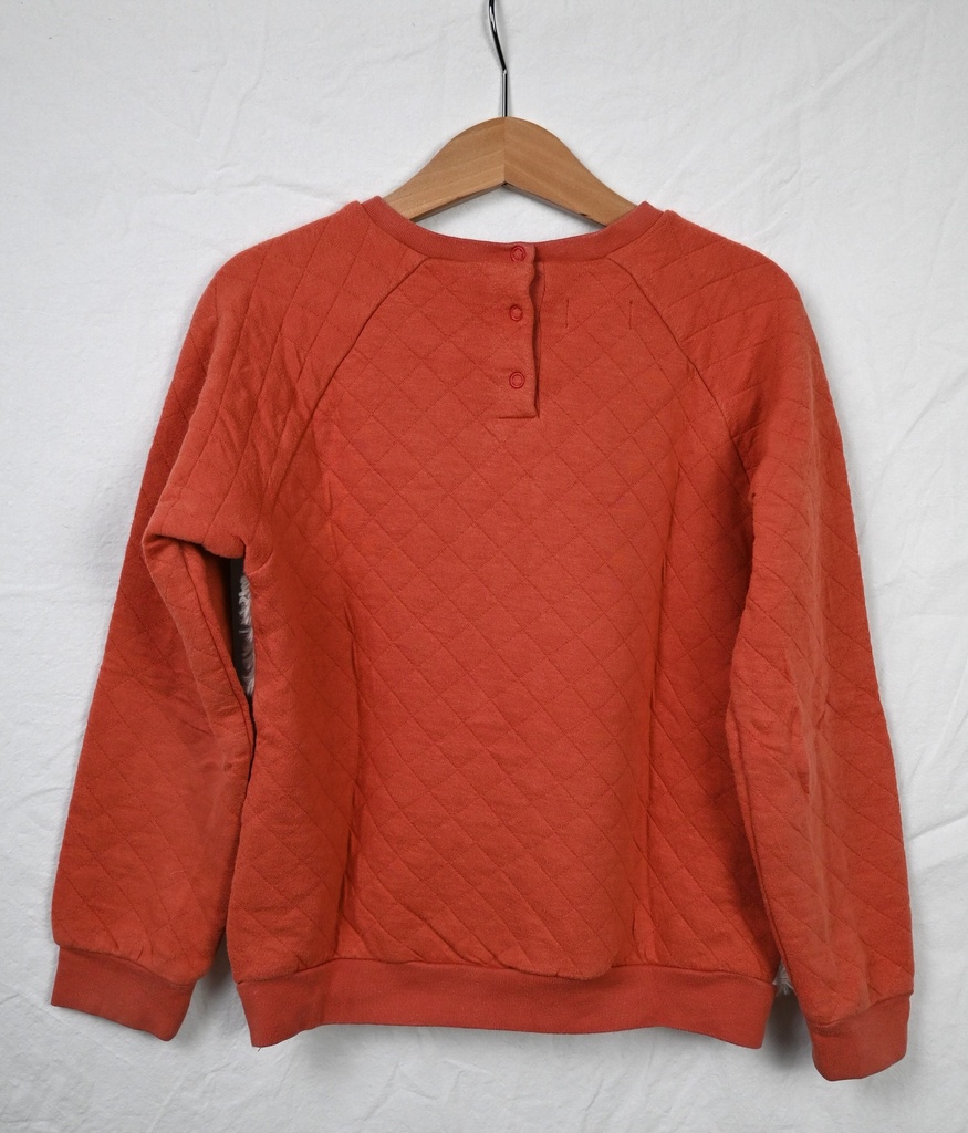 Trui, Filou & Friends, 9 jaar - PI - Extra 1