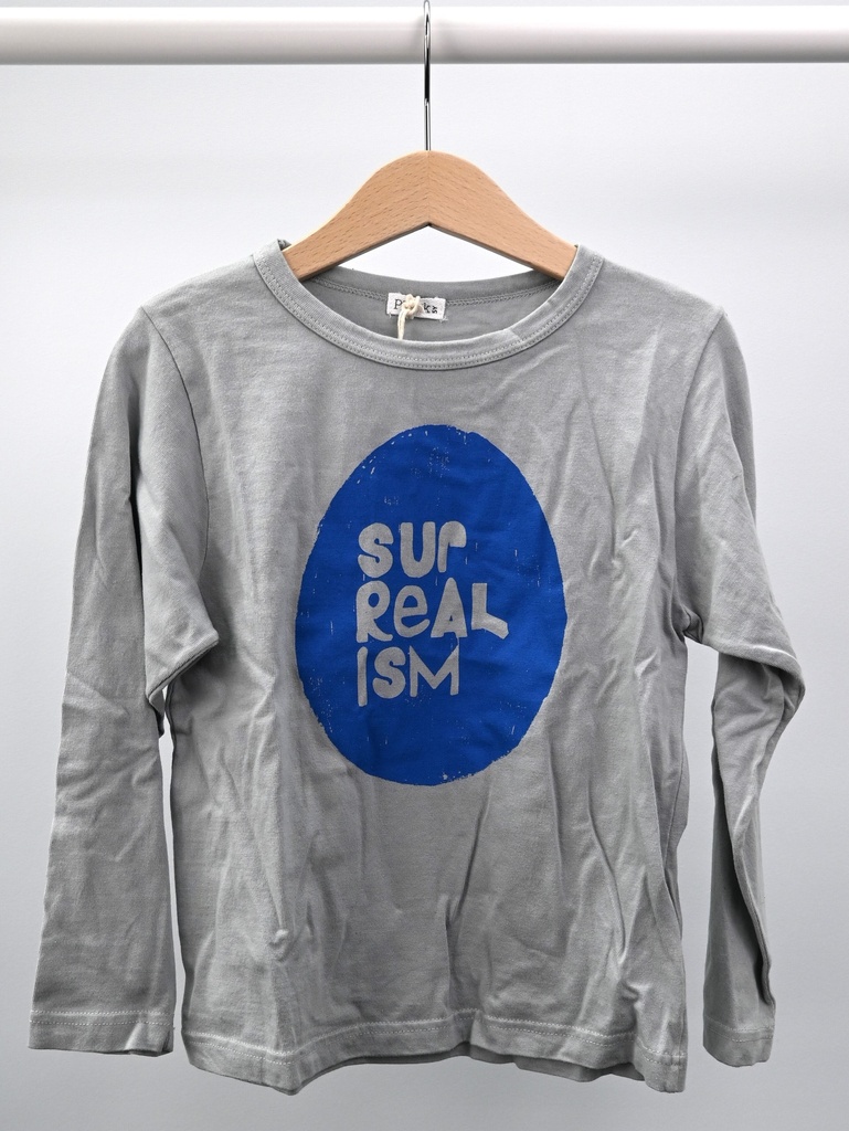 Longsleeve T-shirt, Picnik, 5 jaar