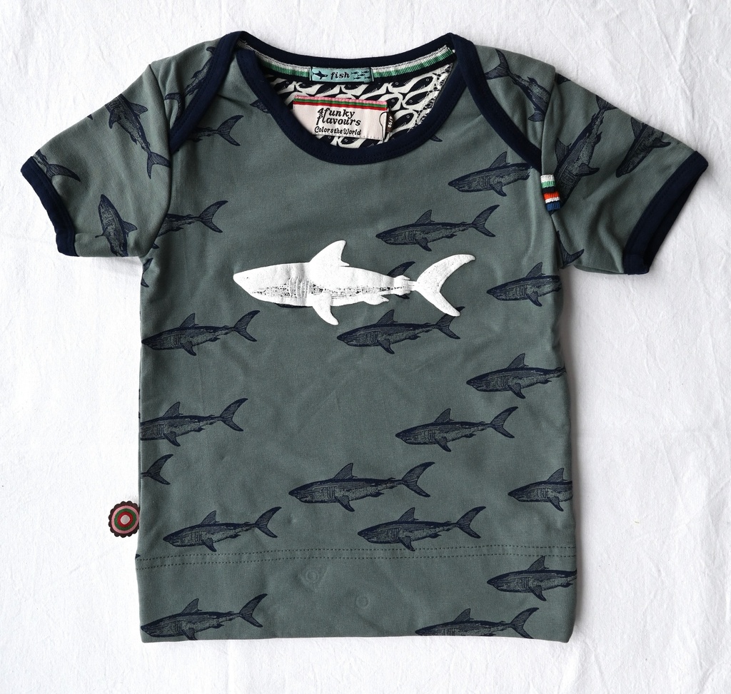 T-shirt, 4 funky flavours, 1/2 jaar