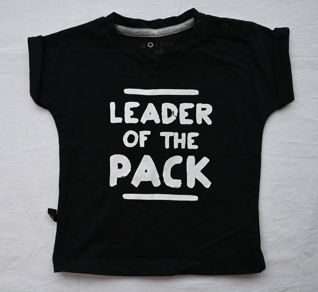 [SRE018] T-shirt, nOeser, 6 maanden