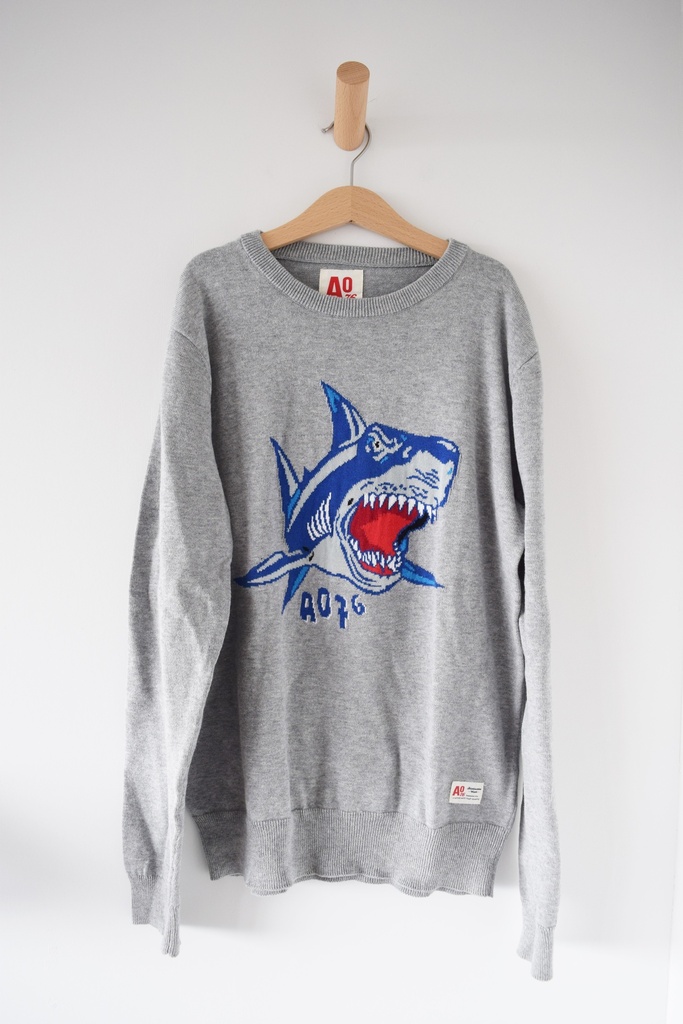 Trui, American Outfitters, 14 jaar