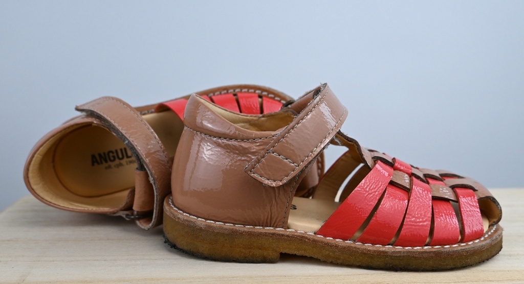 [NMA056] Schoenen, Angulus, 23