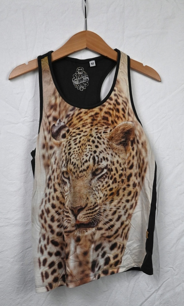 Top, Stones and Bones, 12 jaar