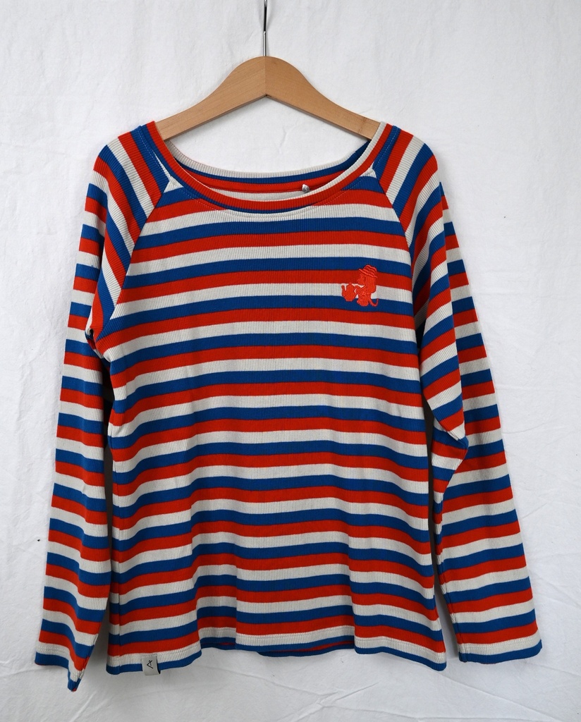 [LES062] Longsleeve T-shirt, Alba, 9 jaar