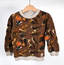 Sweater, Gold Belgium, 4 jaar