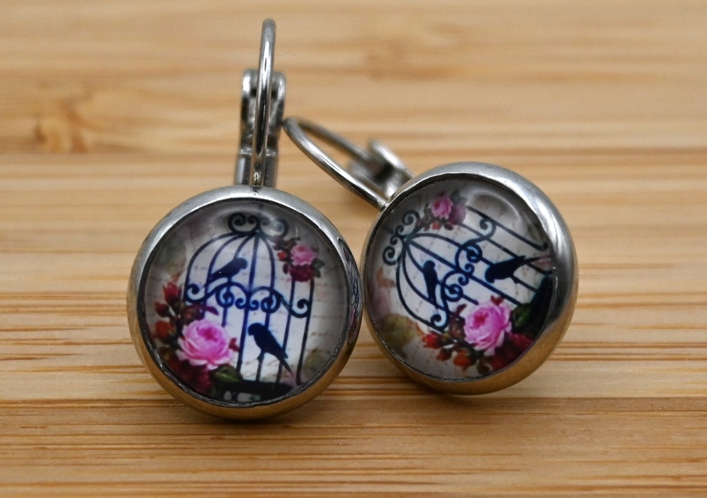 Oorbellen Vogels in kooi