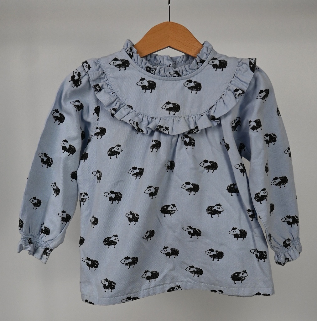 [GSE011] Blouse, Filou & Friends, 4 jaar