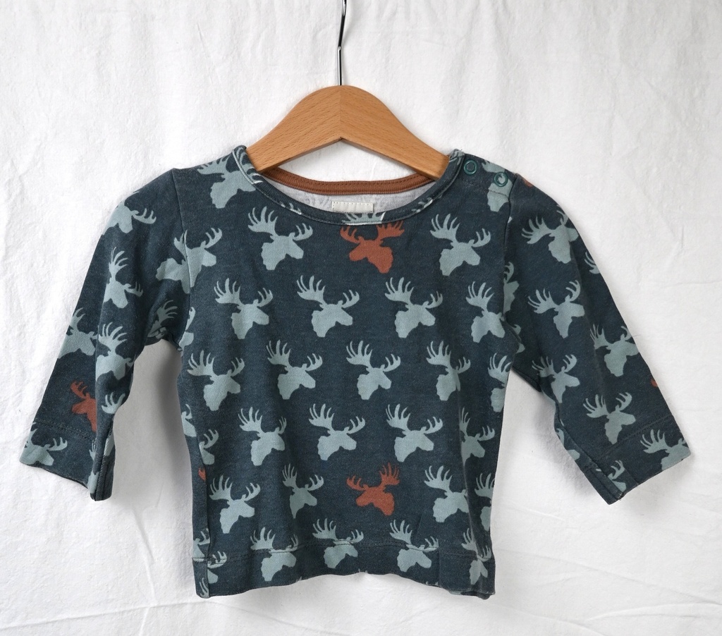 [EVE001] Longsleeve T-shirt, Pigeon, 1/2 jaar