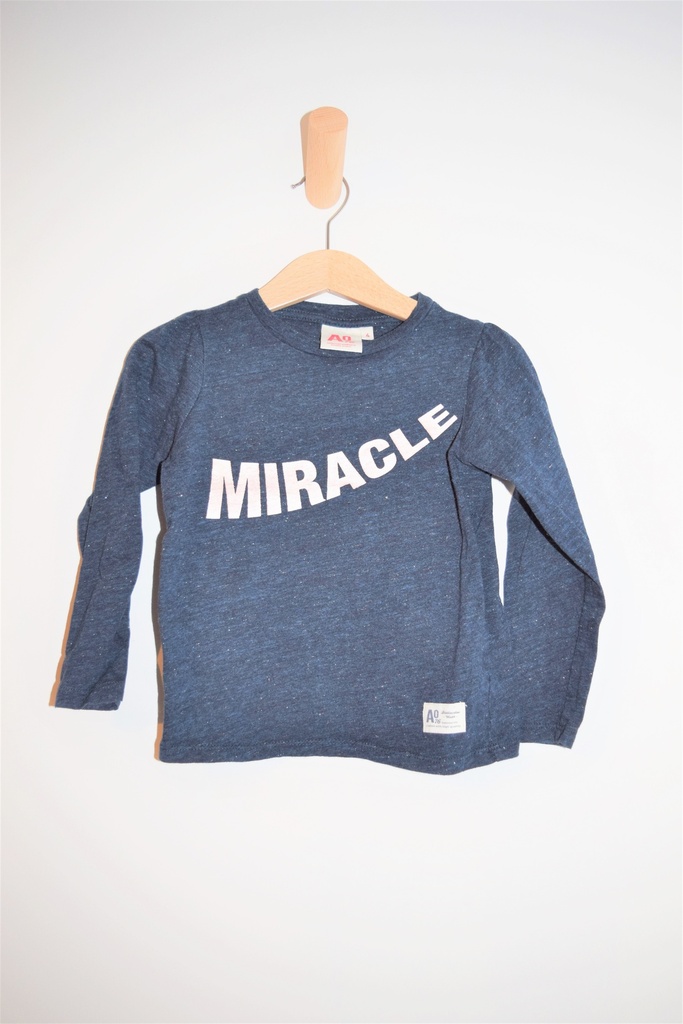 Longsleeve T-shirt, American Outfitters, 4 jaar