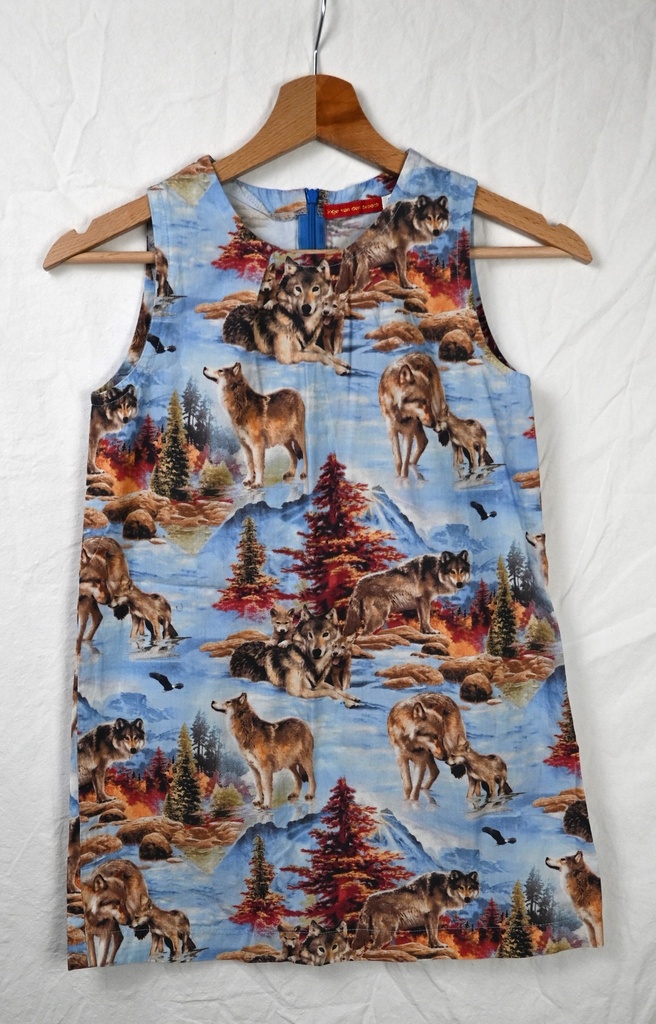 [EDK311] Jurk, Inge Van Den Broeck, 10 jaar - PI