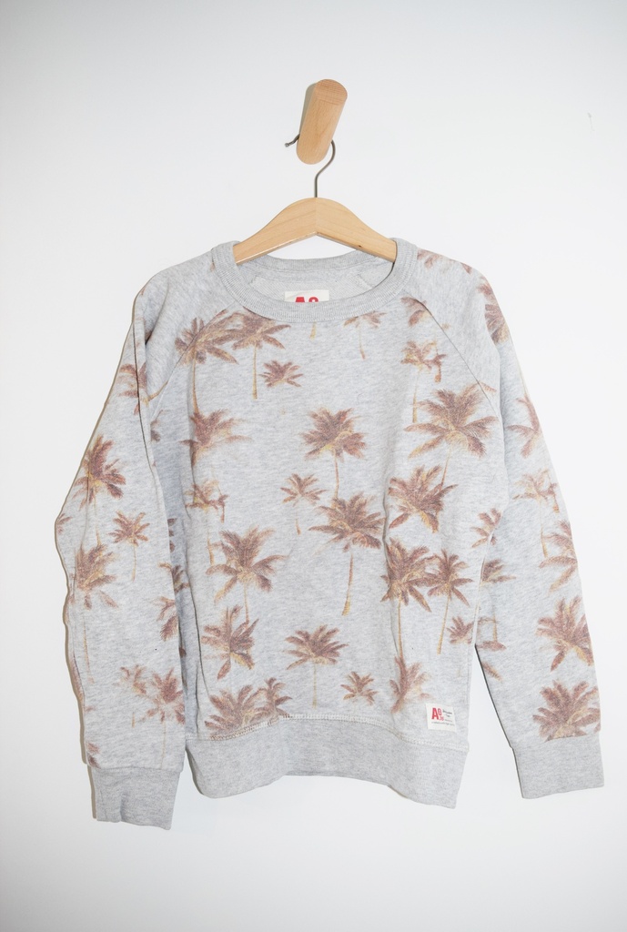 [ANW024] Sweater, American Outiftters, 8 jaar