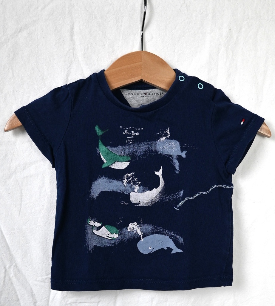 [ANI008] T-shirt, Tommy Hilfiger, 3 maanden - PI