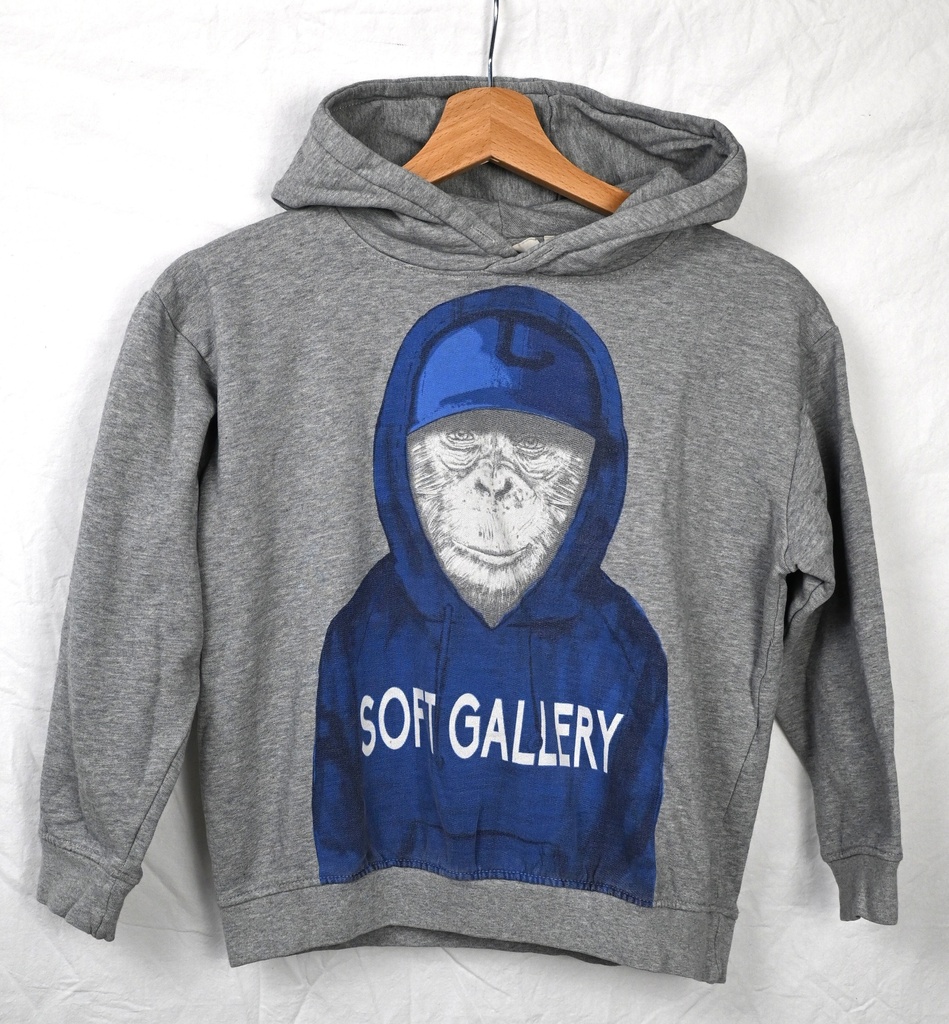 [STH001] Hoodie, Soft Gallery, 10 jaar
